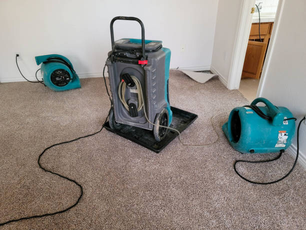 Best Flood damage cleanup  in Greenbrier, AR