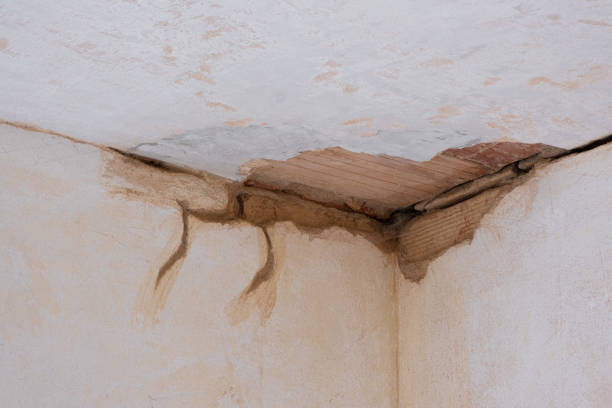 Best Local water damage restoration  in Greenbrier, AR