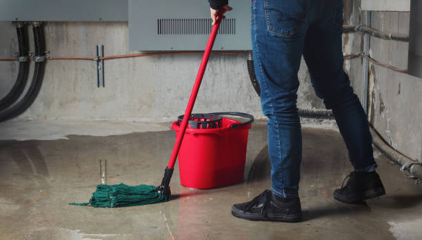 Best Fire Damage Restoration  in Greenbrier, AR