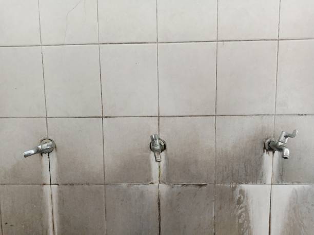 Best Commercial water damage restoration  in Greenbrier, AR