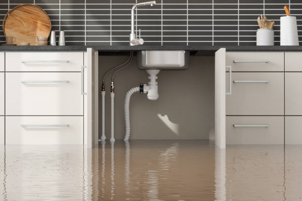 Best Water damage restoration insurance claims  in Greenbrier, AR